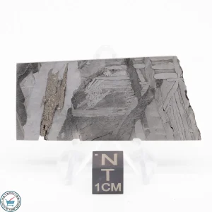 Seymchan Siderite Meteorite 28.3g