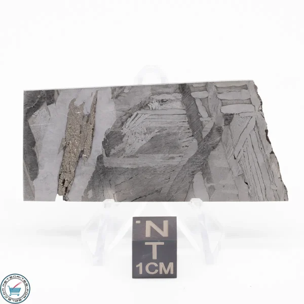 Seymchan Siderite Meteorite 28.3g