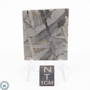 Seymchan Siderite Meteorite 22.2g