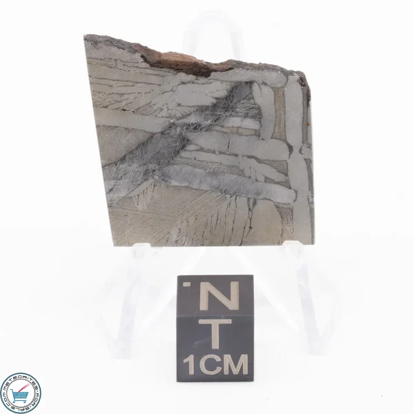 Seymchan Siderite Meteorite 15.1g