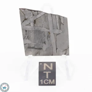 Seymchan Siderite Meteorite 14.8g