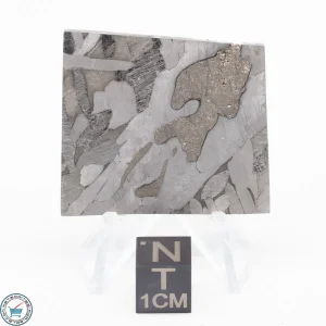 Seymchan Siderite Meteorite 23.4g