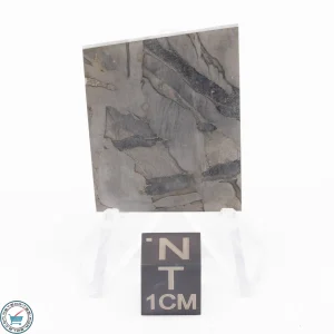 Seymchan Siderite Meteorite 16.6g