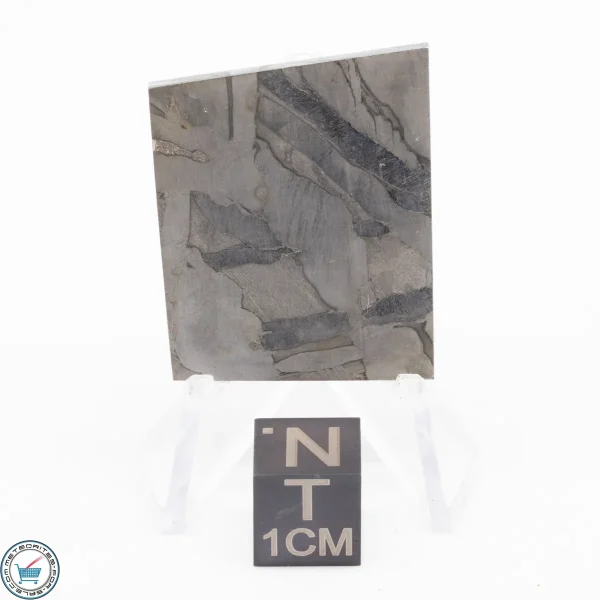 Seymchan Siderite Meteorite 16.6g