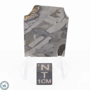 Seymchan Siderite Meteorite 16.4g