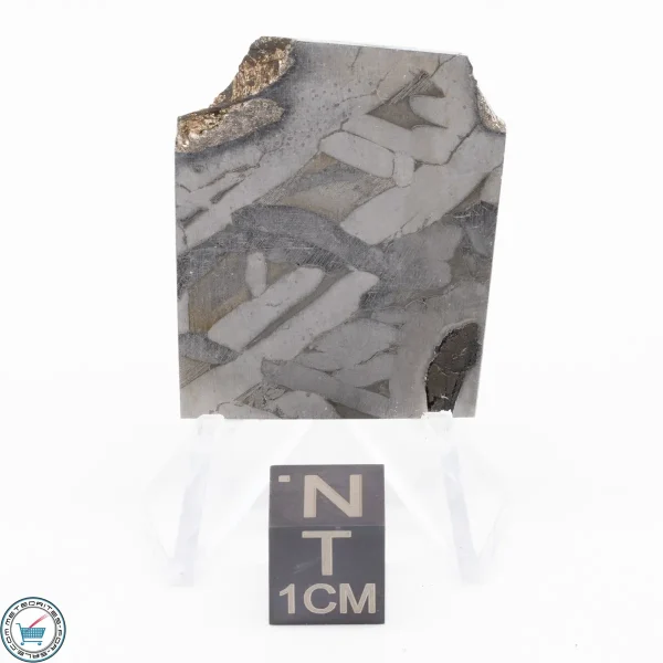 Seymchan Siderite Meteorite 16.4g