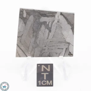 Seymchan Siderite Meteorite 21.2g