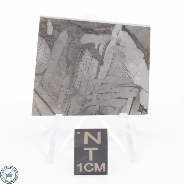 Seymchan Siderite Meteorite 21.2g