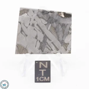 Seymchan Siderite Meteorite 21.7g