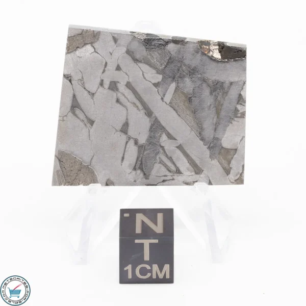 Seymchan Siderite Meteorite 21.7g