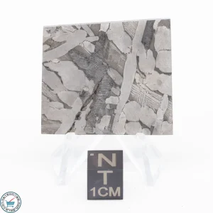 Seymchan Siderite Meteorite 25.2g