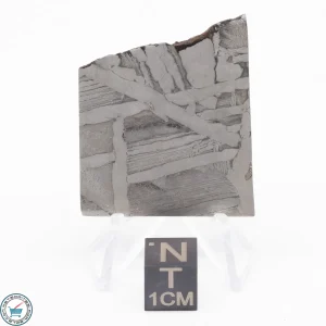 Seymchan Siderite Meteorite 24.3g