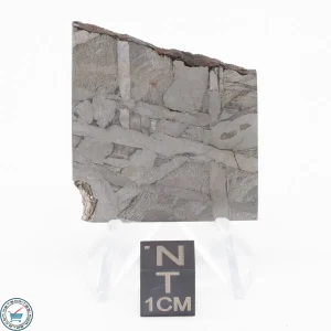 Seymchan Siderite Meteorite 24.0g