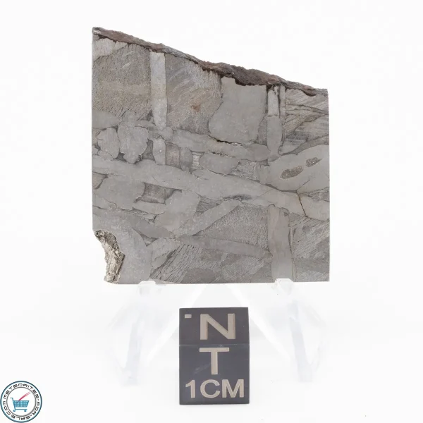 Seymchan Siderite Meteorite 24.0g