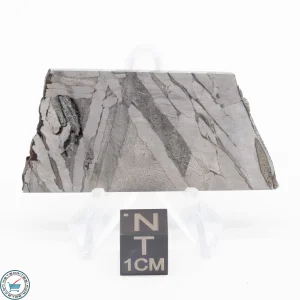 Seymchan Siderite Meteorite 27.2g