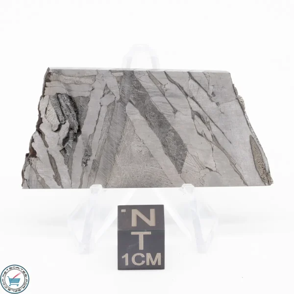 Seymchan Siderite Meteorite 27.2g