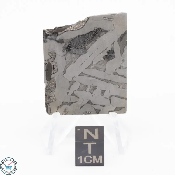 Seymchan Siderite Meteorite 20.4g