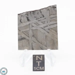 Seymchan Siderite Meteorite 24.1g