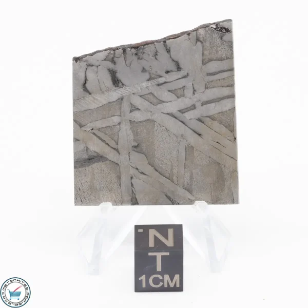 Seymchan Siderite Meteorite 24.1g