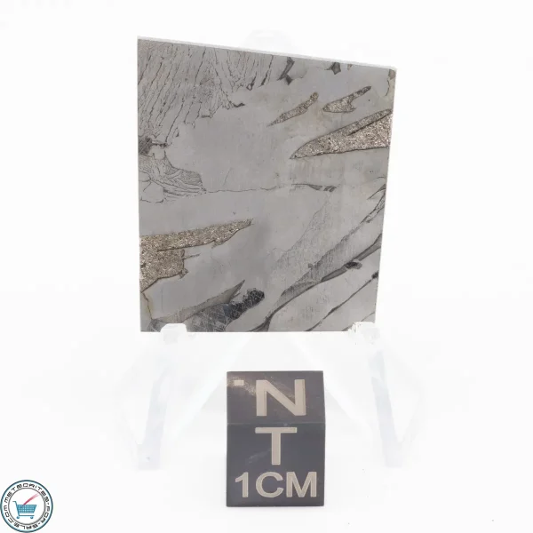 Seymchan Siderite Meteorite 16.3g