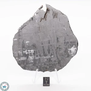 Odessa Meteorite Slice 124.1g