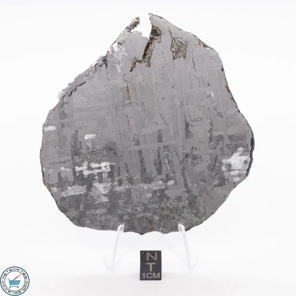 Odessa Meteorite Slice 124.1g
