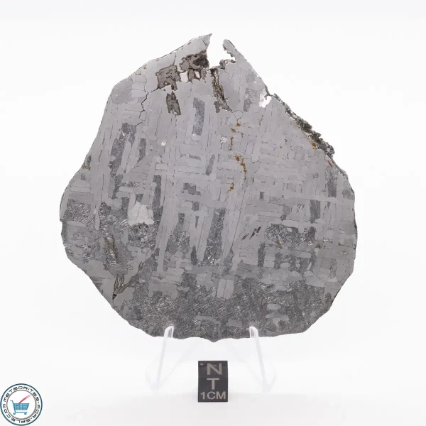 Odessa Meteorite Slice 124.1g - Image 2