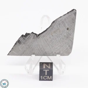 Saint-Aubin Meteorite 22.3g