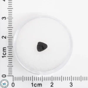 Tarda Meteorite 0.049g