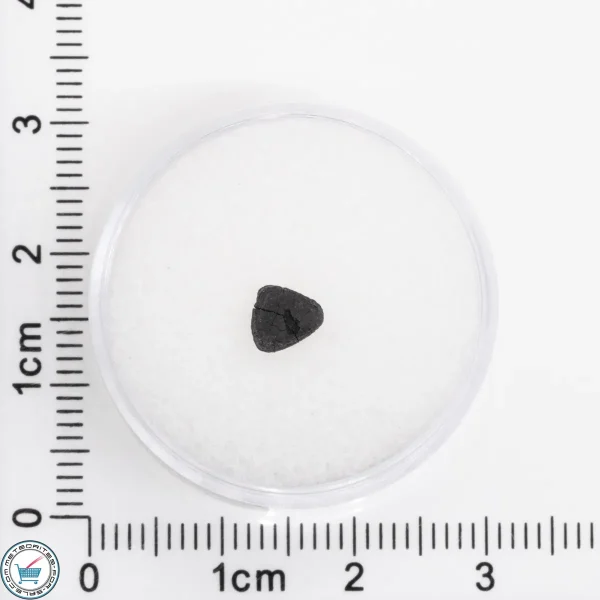 Tarda Meteorite 0.049g