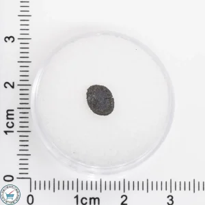 Tarda Meteorite 0.061g