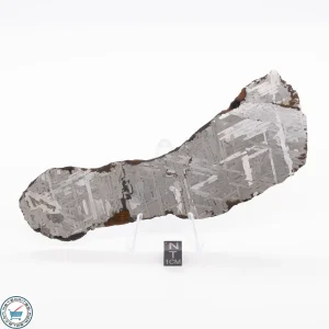 Toluca Meteorite 168.0g