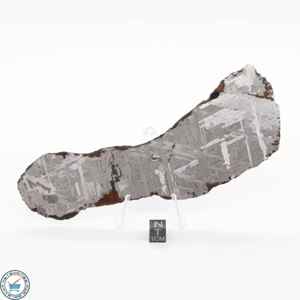 Toluca Meteorite 168.0g