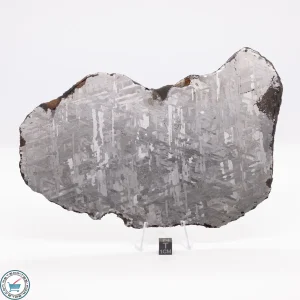 Toluca Meteorite 484.5g