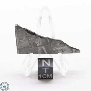 Muonionalusta Meteorite 11.5g