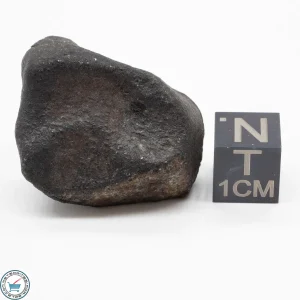 Bassikounou Meteorite 17.5g