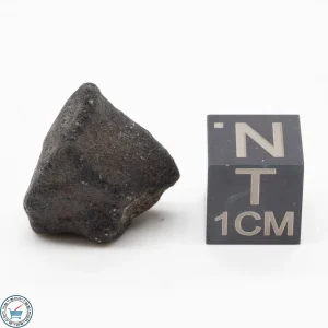 Bassikounou Meteorite 3.9g