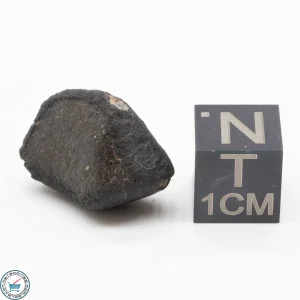 Bassikounou Meteorite 3.8g