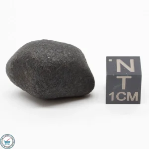 Bassikounou Meteorite 12g