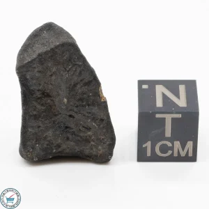 Bassikounou Meteorite 7.6g