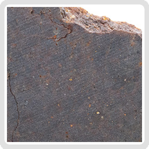 El Medano 395 Brachinite Meteorite