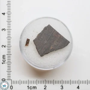 El Médano 395 Meteorite 1.1g