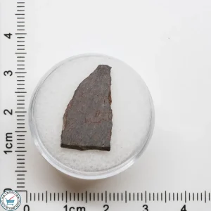 El Médano 395 Meteorite 1.0g