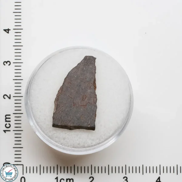 El Médano 395 Meteorite 1.0g