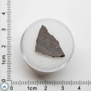 El Médano 395 Meteorite 1.0g