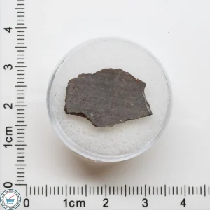 El Médano 395 Meteorite 1.2g