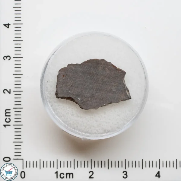 El Médano 395 Meteorite 1.2g