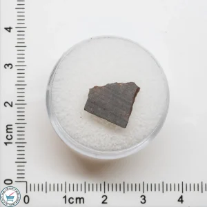 El Médano 395 Meteorite 0.6g