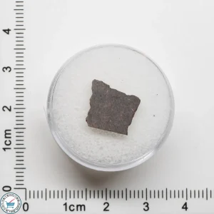 El Médano 395 Meteorite 0.6g