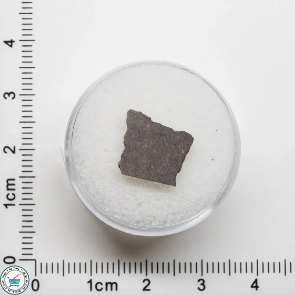 El Médano 395 Meteorite 0.6g